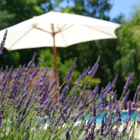 Gaia Villa Grimaud